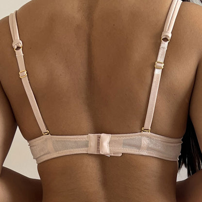 Brasier 1604
